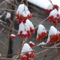 глубокая зима :: татьяна вашурина
