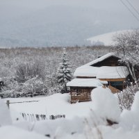 Весенний снегопад :: Инна Кузнецова