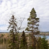 Природа севера. Финляндия. :: Elena Klimova