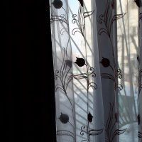 Весеннее окно :: Александр Мурзаев