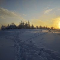 Хоженый снег :: Василий Хорошев
