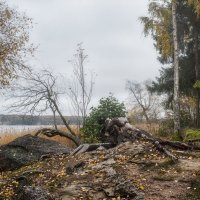 На берегу :: Елизавета Вавилова