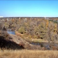 В тихой заводи Днепра :: Нина Корешкова