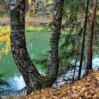 Осень наступила. :: Николай Крюков