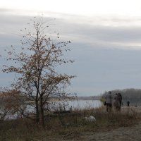 Приметы осени. :: Олег Афанасьевич Сергеев