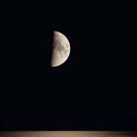 Лунная соната :: Скиталец Сан