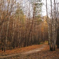 Осенний пасмурный денёк. :: Лена Минакова