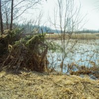 с подсадной :: Николай Колобов