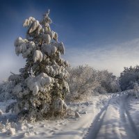 Зима!!! :: Виктор Гришенков