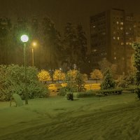 Снегопад :: Владимир 