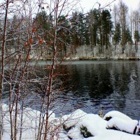 НОЯБРЬ В КАРЕЛИИ :: Николай Гренков