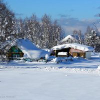 Сибирская зима... :: Алексей Белик