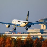 30 октября 2015 года. Посадка Airbus A330-243. Минск-2 (UMMS) :: Сергей Коньков