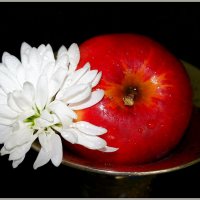 Цветок и яблок :: Андрей Заломленков