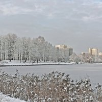 Зима, проба пера :: Александр Гурьянов