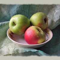 Натюрморт с яблоками :: Николай Белавин