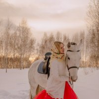 в поле с конём.. :: Евгения Кулешова