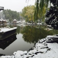 The first snow in Beijing :: Shiva 