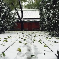 The first snow in Beijing :: Shiva 