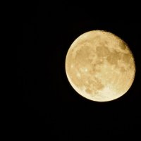 Луна :: Анна Браун 