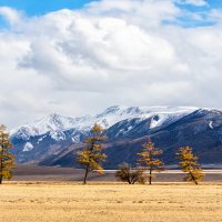 Курайская степь :: Галина Шепелева