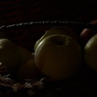 Яблочки :: Tamara Kallen 