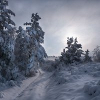 Зима!!! :: Виктор Гришенков
