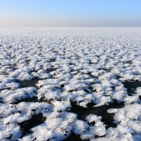 Море ледяных цветов :: Александр Шведов