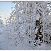 Глубокая зима :: Василий Хорошев