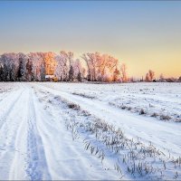 Зимний вечер в деревне... :: Александр Никитинский