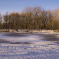 Акварели поздней осени :: Наталья Лакомова