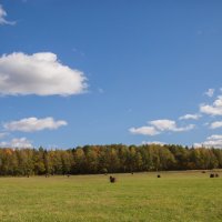 осеннее поле :: Мария Корнилова