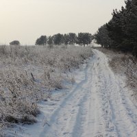 Путь :: Радмир Арсеньев