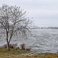 ..на краю.. на ветру... :: Александр Герасенков