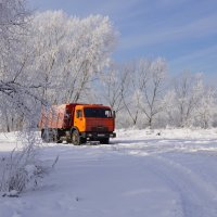 "Вдруг из лесу вышел,был сильный мороз..." :: Наталия Григорьева