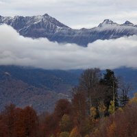 В горах :: Виолетта 