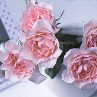 Розы. :: ЛЮБОВЬ ВОЛГИНА