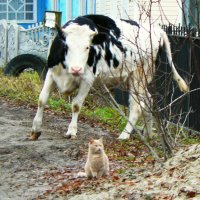 за секунду до... :: Леонид Натапов