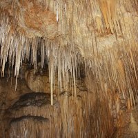В пещере в Тасмании :: Антонина 