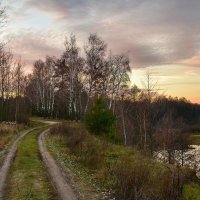 Вечерний  проселок. :: Валера39 Василевский.