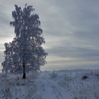 Пасмурно :: Николай Мальцев