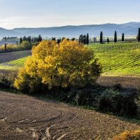 Autumn in Tuscany :: Dmitry Ozersky