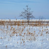 Бескрайнее поле и бесконечная зима... :: Валентин Кузьмин