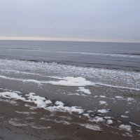 Белое море :: Светлана Ку