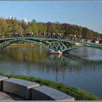 Горбатый мост в Царицыно. :: Olenka 