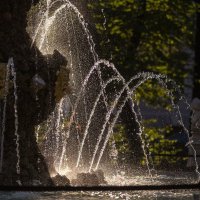 фонтан в Летнем саду :: Алиса Колпакова