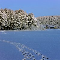 Рыбаки наследили :: Валентин Кузьмин