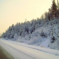 Зима в Сибири :: alemigun 