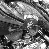 St.Petersburg Harley® Days в деталях... :: Жанна Рафикова