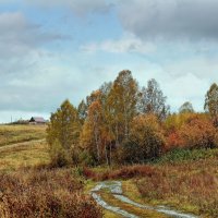 Сибирская глубинка. Домик в деревне :: Дмитрий Конев